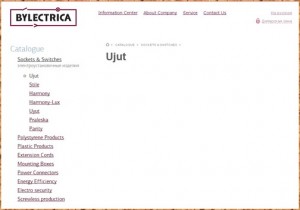 Сайт bylectrica.by - англоязычная версия
